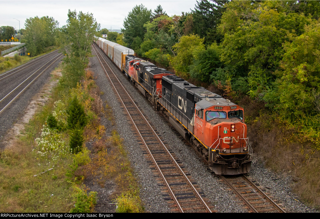 CN 5600